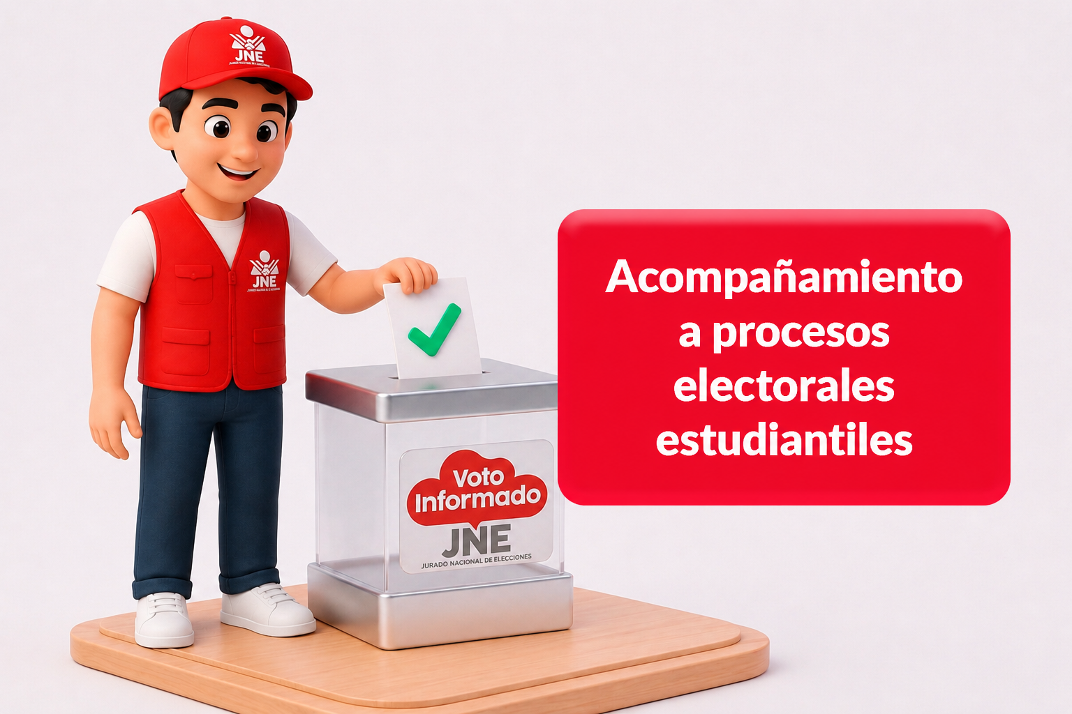 Acompañamiento al proceso electoral